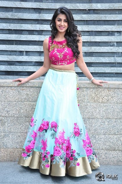 Nikki-Galrani-at-Krishnashtami-Movie-Platinum-Disc-Function